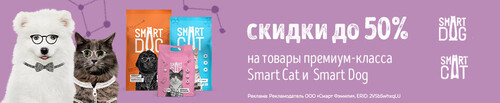 Скидки до 50% на корма премиум-класса Smart Cat и Smart Dog