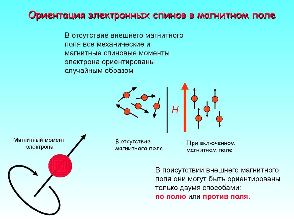 Отсутствие ориентации. Спиновое магнитное поле. Ориентация электронных спинов в магнитном поле. Внешнее магнитное поле. Спиновая жидкость.