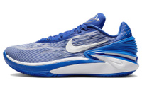 Мужские баскетбольные кроссовки Nike Air Zoom GT Cut 2
