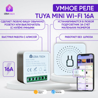 Умное реле для Алисы 16А Tuya Wi-Fi Mini