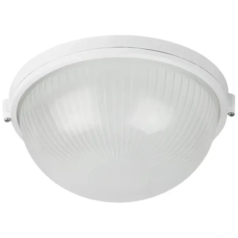 Светильник утилитарный настенно-потолочный влагозащищенный Эра НБП03-100-001 12 м² цвет белый ЭРА НБП 03 жкх