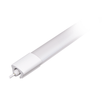 Светильник светодиодный LED PWP2-1200-SMD 40w, Прозрачный