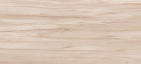 Керамическая плитка настенная Botanica, коричневый, 20x44, BNG111D