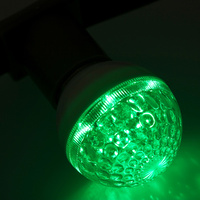 Лампа шар ∅50 10 LED е27 зеленая 24V/AC NEON-NIGHT