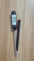 Термометр цифровой WT-1