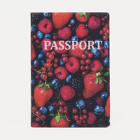 Обложка для паспорта, цвет красный/синий No brand