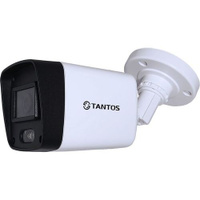 Камера видеонаблюдения IP TANTOS TSi-P2FP, 1080p, 2.8 мм, белый [00-00189171]