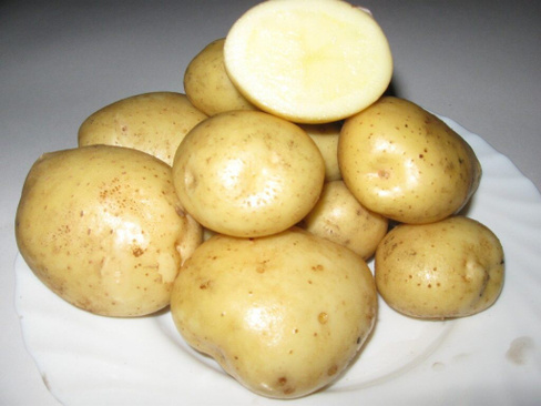 Семенной картофель Лилли среднеранний